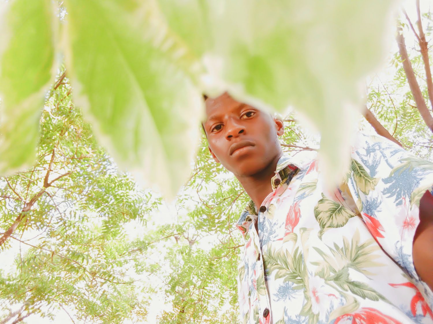 Hassan Warfa